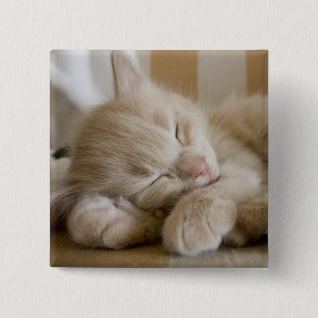 Sleeping Kitten 15 Cm Square Badge (Front)