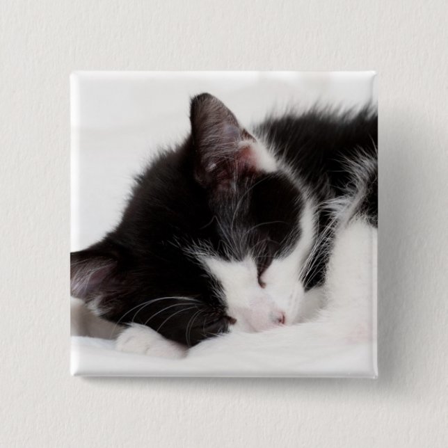 Sleeping Kitten 15 Cm Square Badge (Front)