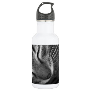 Sleeping Kitten 532 Ml Water Bottle