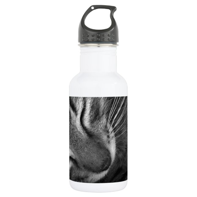 Sleeping Kitten 532 Ml Water Bottle (Front)