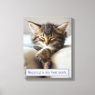 Sleeping Kitten Canvas Print