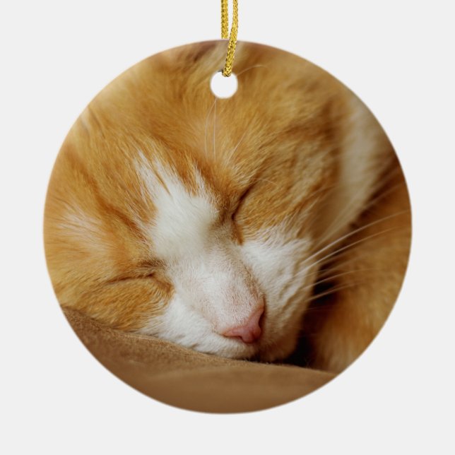 Sleeping Kitten Ceramic Tree Decoration (Front)