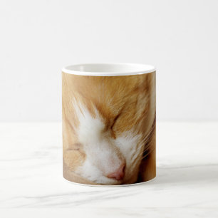 Sleeping Kitten Coffee Mug