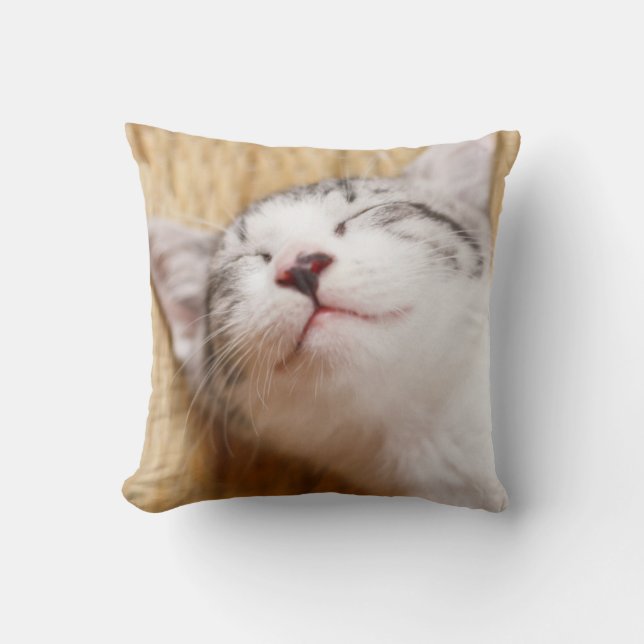Sleeping Kitten Cushion (Front)