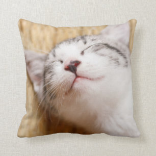 Sleeping Kitten Cushion