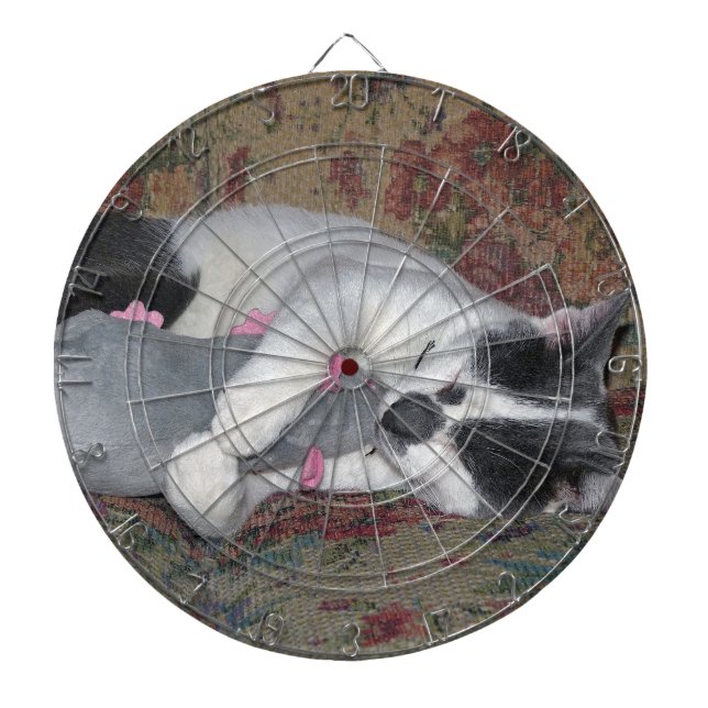 Sleeping Kitten Dartboard (Front)