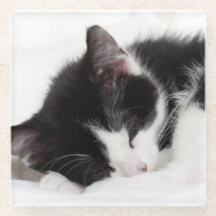 Sleeping Kitten Glass Coaster