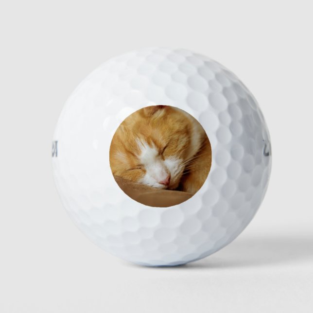 Sleeping Kitten Golf Balls (Front)