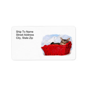 Sleeping Kitten In Bright Red Basket Label
