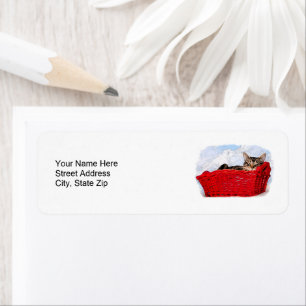 Sleeping Kitten In Bright Red Basket Personalised