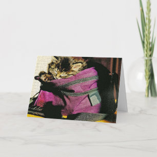 Sleeping Kitten In Purse Miss You Custom Card