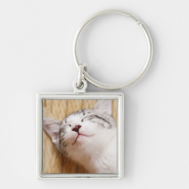 Sleeping Kitten Key Ring (Front)