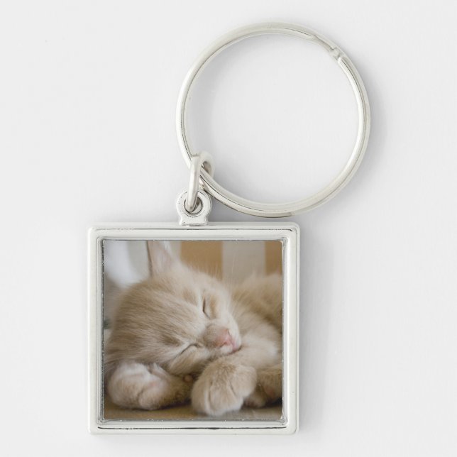 Sleeping Kitten Key Ring (Front)