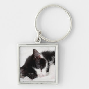 Sleeping Kitten Key Ring