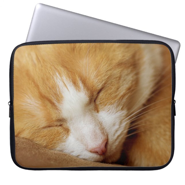 Sleeping Kitten Laptop Sleeve (Front)