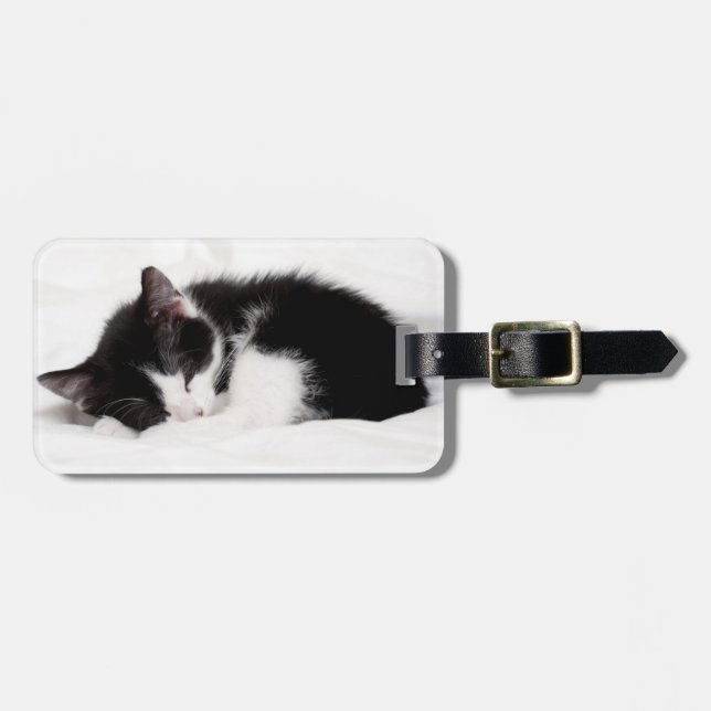 Sleeping Kitten Luggage Tag (Front Horizontal)