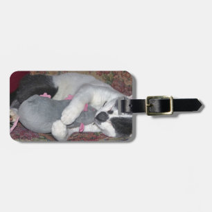 Sleeping Kitten Luggage Tag
