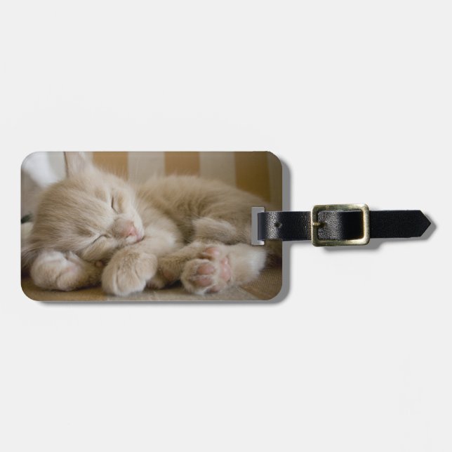 Sleeping Kitten Luggage Tag (Front Horizontal)