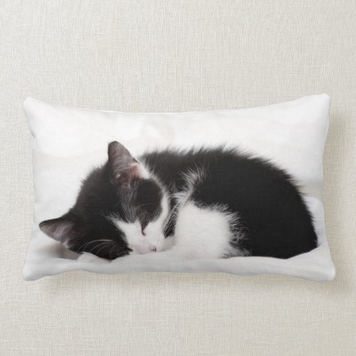 Image of Sleeping Kitten Lumbar Cushion