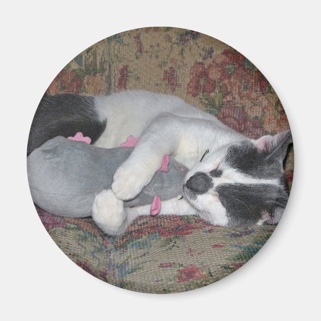 Sleeping Kitten Magnet (Front)
