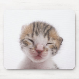 Sleeping kitten mouse mat