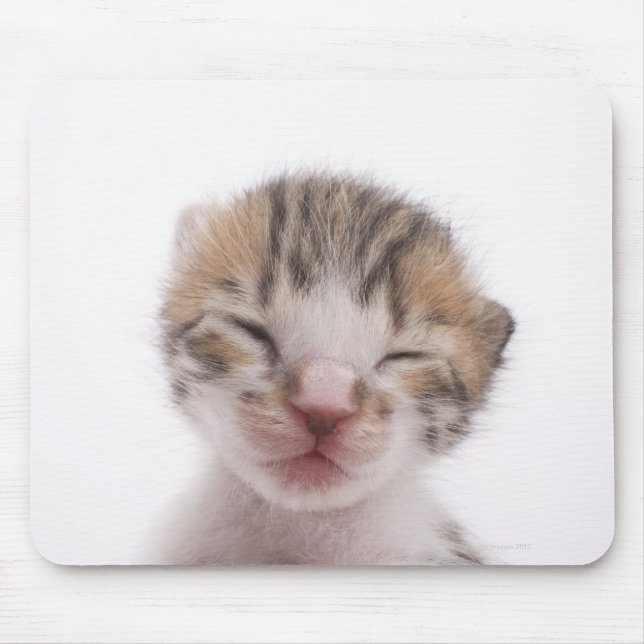 Sleeping kitten mouse mat (Front)