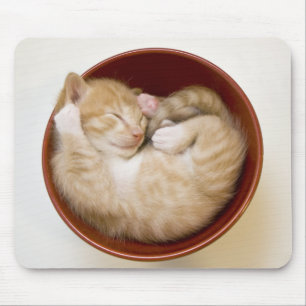Sleeping Kitten Mouse Mat