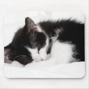 Sleeping Kitten Mouse Mat