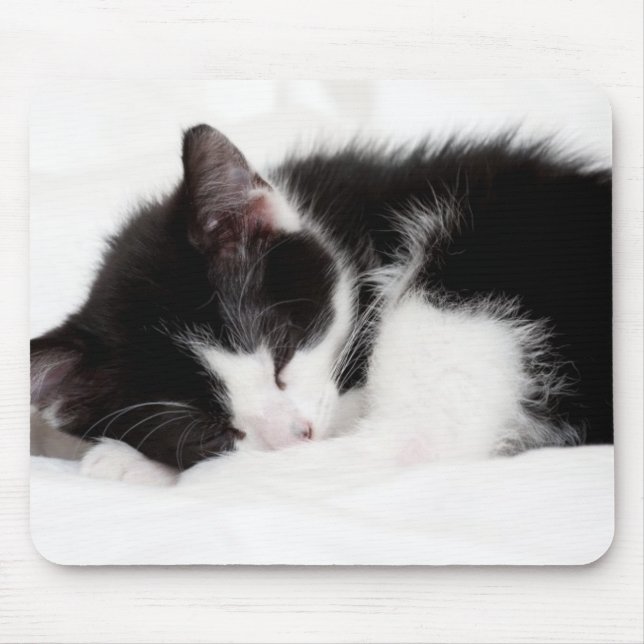 Sleeping Kitten Mouse Mat (Front)
