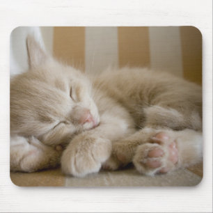 Sleeping Kitten Mouse Mat