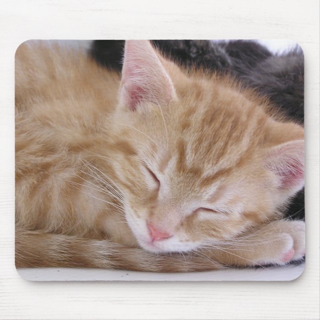 Sleeping Kitten Mouse Mat (Front)