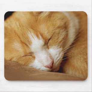 Sleeping Kitten Mouse Mat