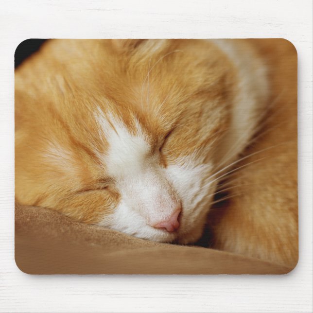 Sleeping Kitten Mouse Mat (Front)
