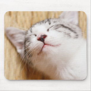 Sleeping Kitten Mouse Mat