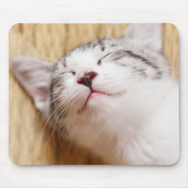 Sleeping Kitten Mouse Mat (Front)