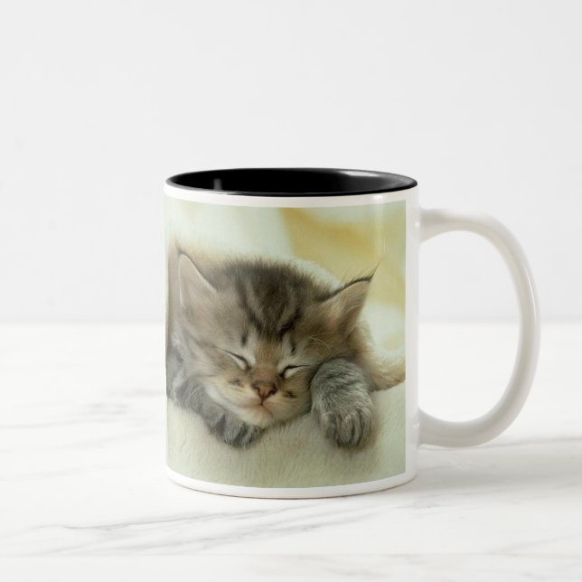 Sleeping Kitten Mug (Right)