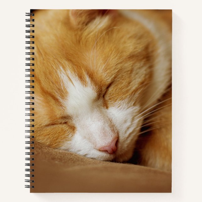 Sleeping Kitten Notebook (Front)