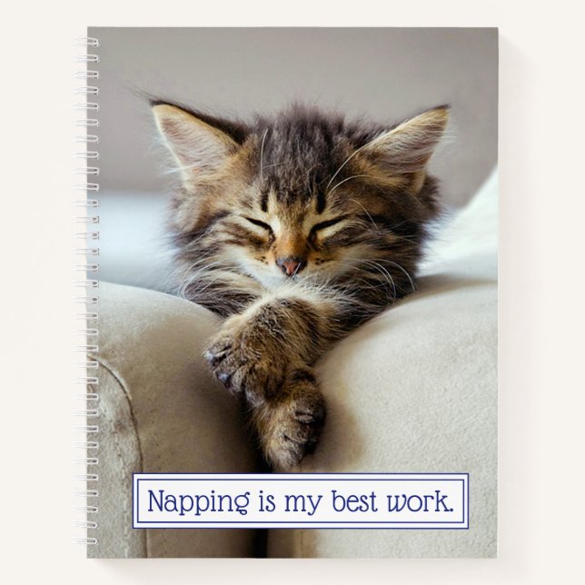 Sleeping Kitten Notebook (Front)
