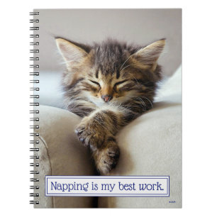 Sleeping Kitten Notebook