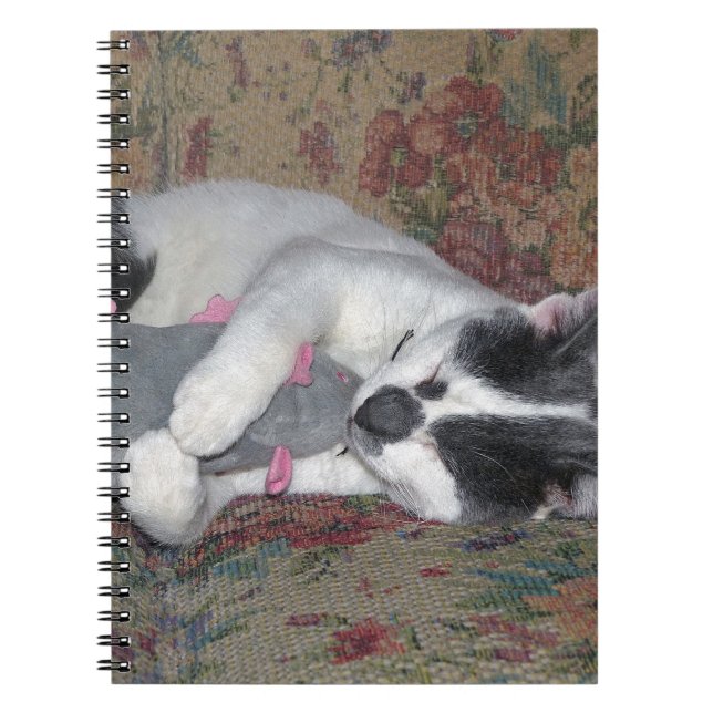 Sleeping Kitten Notebook (Front)