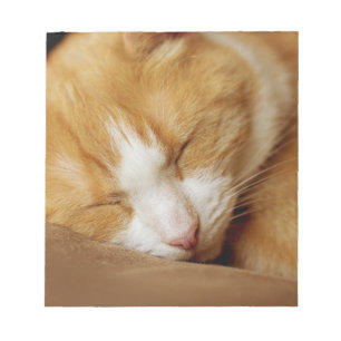Sleeping Kitten Notepad