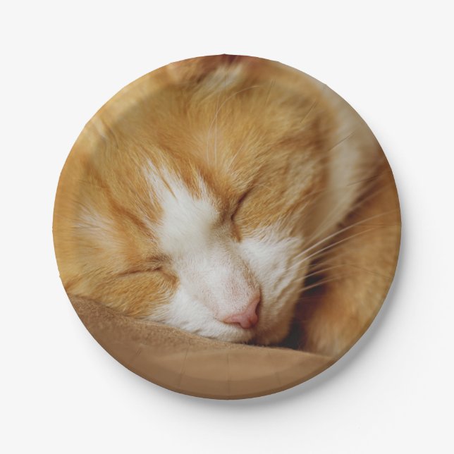 Sleeping Kitten Paper Plate (Front)