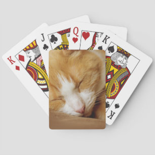 Sleeping Kitten Playing Cards