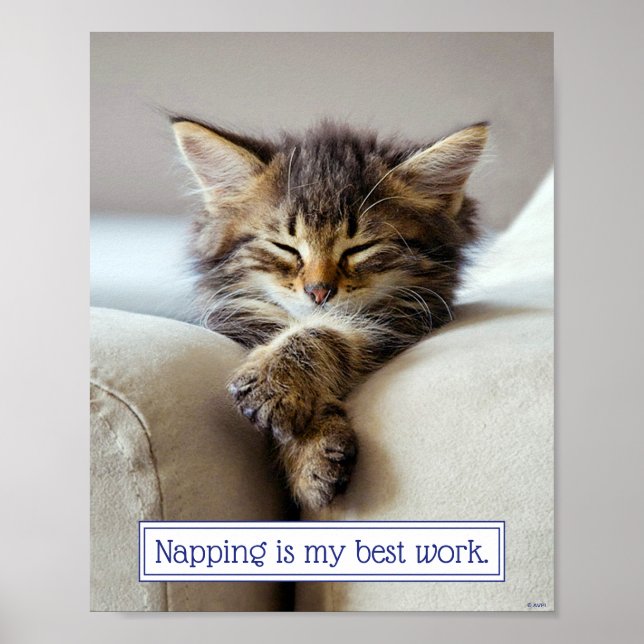 Sleeping Kitten Poster (Front)