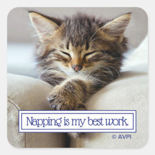Sleeping Kitten Square Sticker