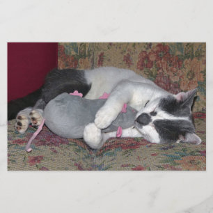 Sleeping Kitten Stationery