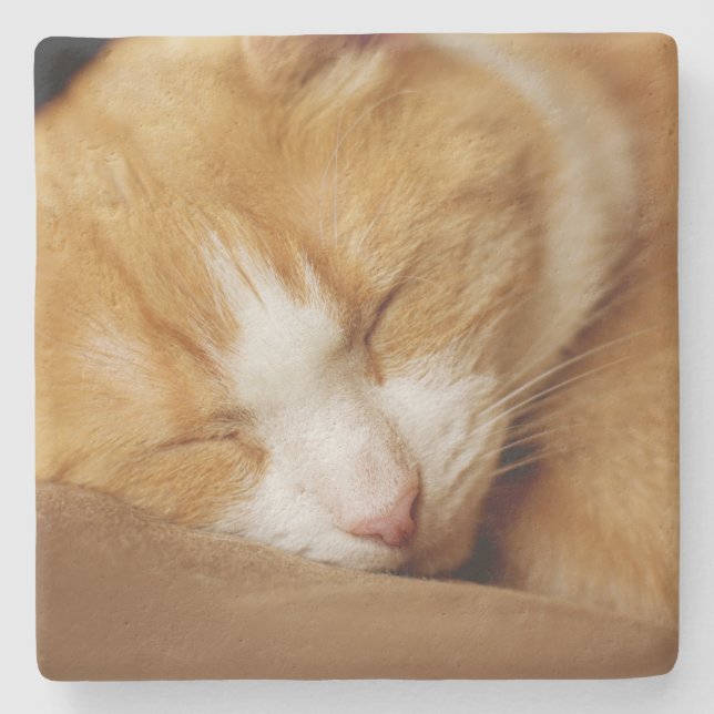 Sleeping Kitten Stone Coaster (Front)