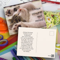 Sleeping Kitten Student Welcome Postcards