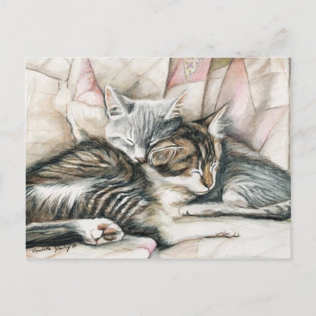 Sleeping Kittens Cat Art Postcard (Front)
