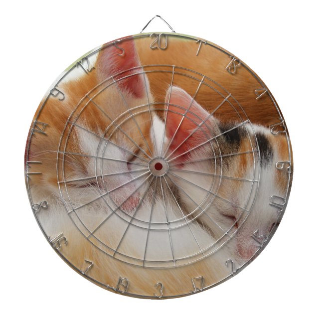 Sleeping Kittens Dartboard (Front)